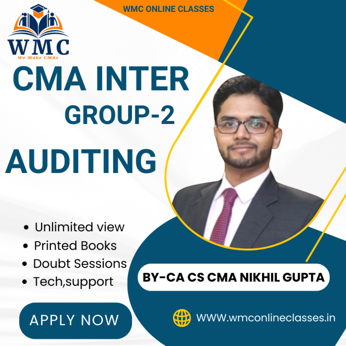 CMA Inter Group 2 Audit